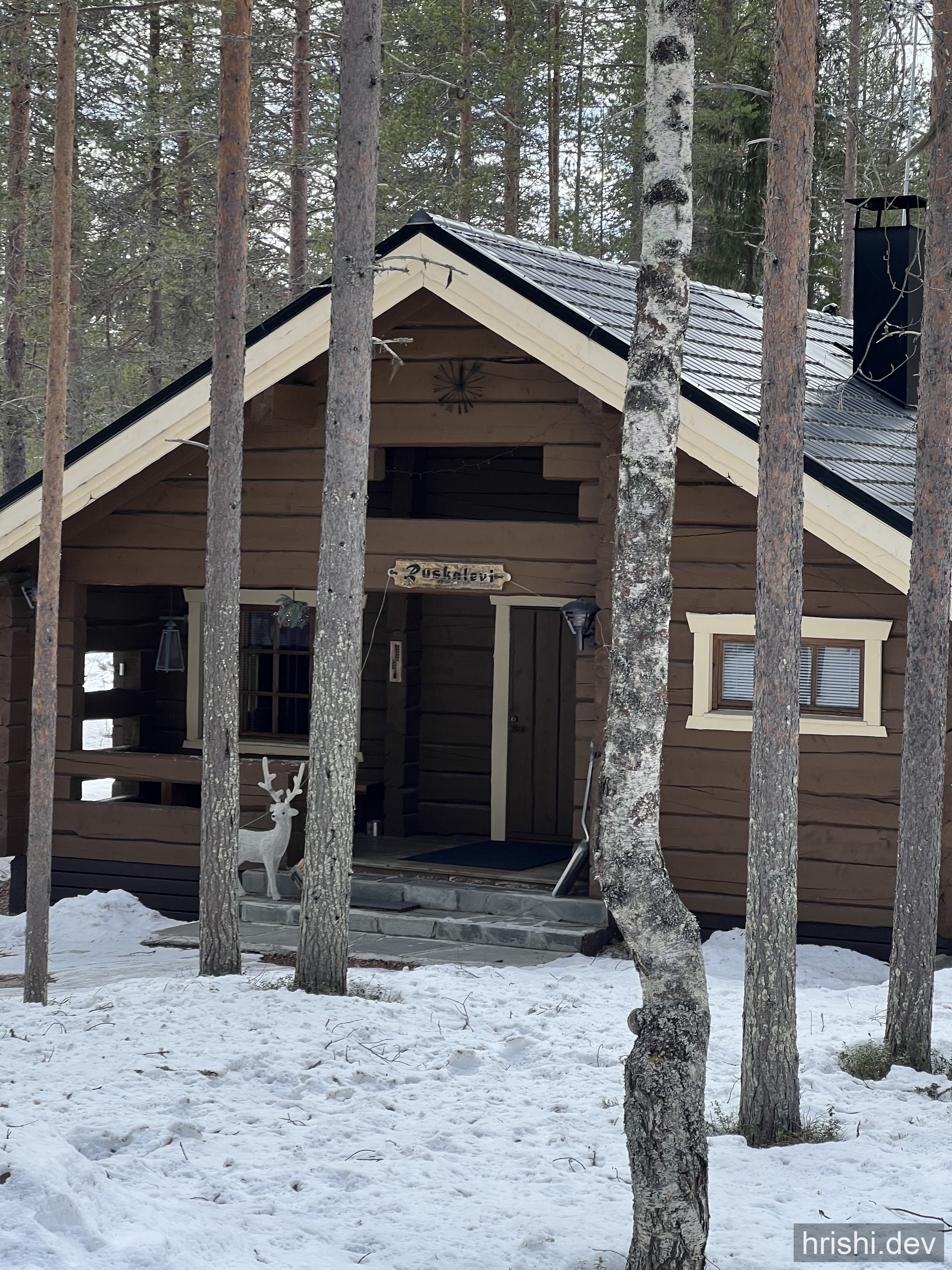 A traditional Finnish wooden cabin surrounded by snowy pine trees in Lapland, Finland